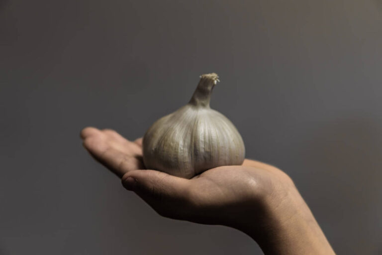 Benefits of Garlic 14 Uses for Garlic to Improve Your Health