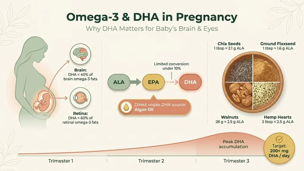 Placed after the first H2 explaining why omega 3, especially DHA, matters for fetal brain and eye development during pregnancy. Pregnant woman holding a bowl of chia seeds, walnuts and flaxseed as plant-based omega 3 sources